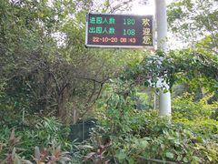 -梧桐山风景名胜区