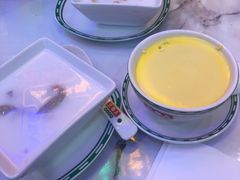 -三条A糖水公司(永旺梦乐城店)