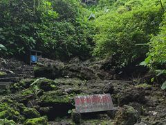 -海口火山口国家地质公园