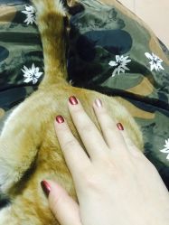 -Seven Nail七姑娘の美甲店
