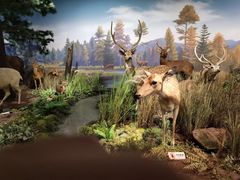 -陕西自然博物馆