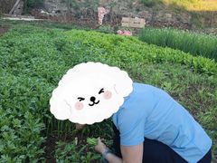 -姥家大锅台水库渔家