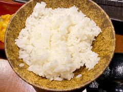 -胜博殿霸王树(嘉里中心店)