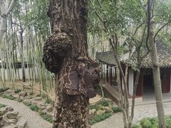 -秋霞圃