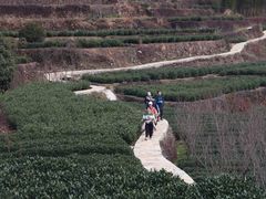 -十九峰景区-倒脱靴