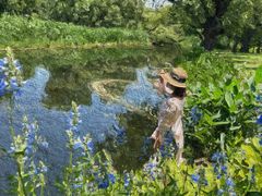 -上海共青森林公园