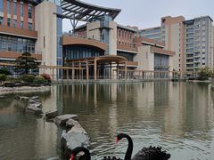 -梧桐人家中国太平国际健康颐养社区