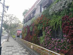 -岳阳道小学(大理道校区)
