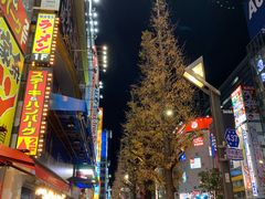 -秋叶原电器街