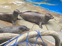 -华夏文旅海洋公园