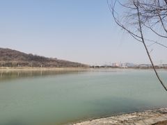 -羊山湖公园