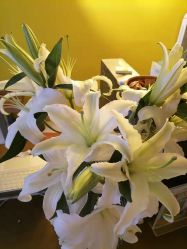 -FineYoga梵音瑜伽·普拉提