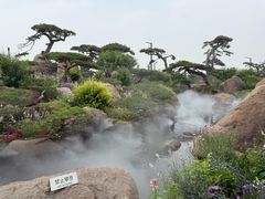 -罗红摄影艺术馆