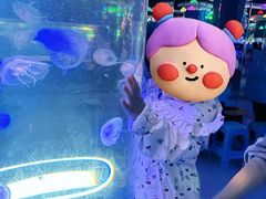 -重庆欢乐海底世界