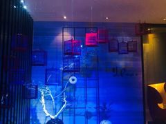 -青岛富力艾美酒店