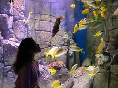 -成都浩海立方海洋公园