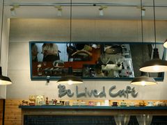 大堂-Be Lived Cafe比例咖啡(摩天轮店)