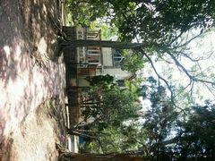 android_upload_pic-八大关景区