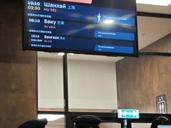 -谢列梅捷沃国际机场