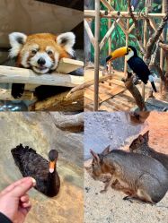 -Zoolung Zoolung动物主题公园(海信广场店)