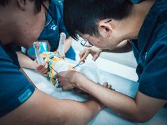 -福州肆爪动物医院