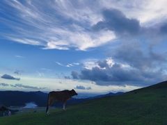 -大姆山草场
