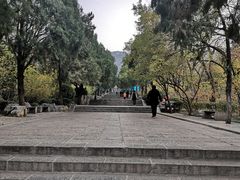 -千佛山风景名胜区