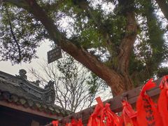 -宝光寺