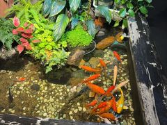 -隐炉和牛烧肉店(群力店)