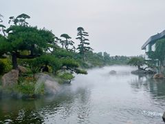 -罗红摄影艺术馆