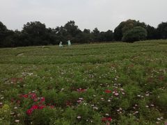 -保利石象湖景区