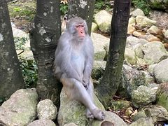 -姑婆山旅游区