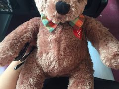 -济州岛泰迪熊博物馆