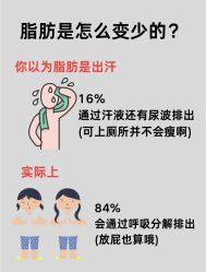 -Fundi张玉珊修身堂·indiba·BTL科技瘦身