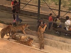 -深圳野生动物园