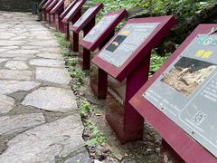 -北京上方山国家森林公园