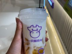 -一只酸奶牛(春熙路店)