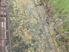 -河北村民俗体验园