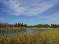 -野鸭湖国家湿地公园
