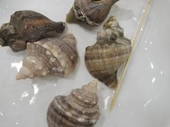 -南海食街(佛冈店)