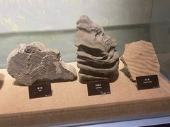 -甘肃地质博物馆