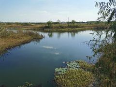 -同里国家湿地公园