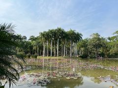 -中国科学院西双版纳热带植物园