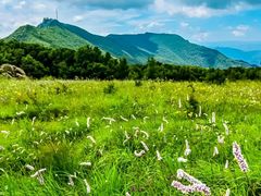 -白草畔自然风景区