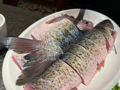 -不老溪贵州菜(广安门总店)