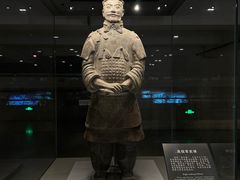 -秦始皇帝陵博物院(兵马俑)