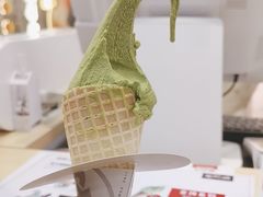 -野人先生现做冰淇淋(西安赛格店)