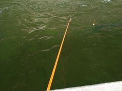 -会江钓鱼钓虾烧烤场