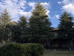 -时光吧·大堂吧·丽江和府洲际度假酒店