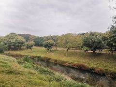 -两河城市森林公园